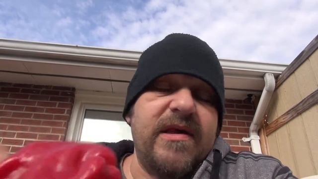 ⟹ POD REVIEW: Melrose #hybrid (HR177801) #Pepper, capsicum annuum F1 смотреть онлайн