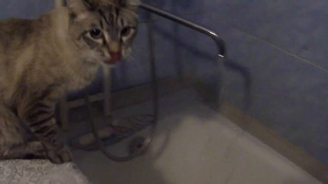 Сушняк смотреть онлайн