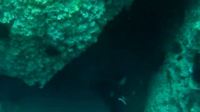 verrugato en los pilones смотреть онлайн