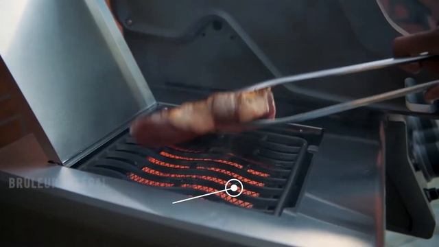 OOGarden - Barbecue gaz Rogue - NAPOLEON смотреть онлайн