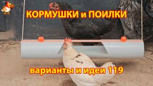 Кормушки и поилки для кур своими руками 119 🪚✂️ Пошаговая инструкция как сделать 🐔 🐓❣️