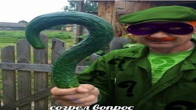 песня про огурец смотреть онлайн