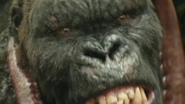 Colorful Dinosaurs : Kingkong Vs Godzilla, Indo raptor, Megalodon, Siren Head, T-Rex, Brontosaurus смотреть онлайн