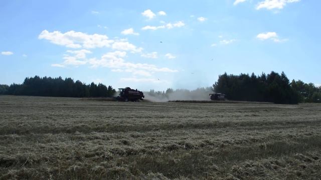 Уборка озимых. Лаишевский район, Агрофирма "Нармонка" смотреть онлайн