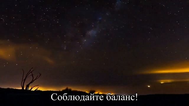 Курортные страсти  Как сделать, чтобы отдых не превратился в кошмар  — Статья смотреть онлайн