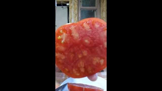 Томаты. Минусинские сорта томатов. г Киров. Ватсап, Вайбер т. 89229284031 смотреть онлайн