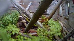 Заброшенная деревня Касимово (Вохомский район, 2017 год)