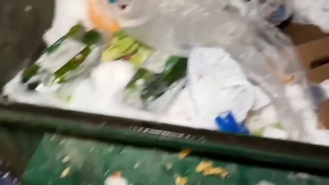 Dumpster Diving Aldi #347 Free Grocery Shopping!