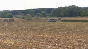 Заготовка силоса 2021 в курган.