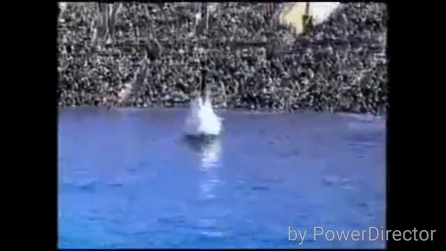 ШОК ЗНАМЕНИЯ АЛЛАХА ЧЕЛОВЕК И ОГРОМНАЯ РЫБА смотреть онлайн