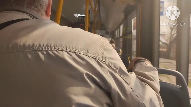 Поездка на автобусе МАЗ 203.047 № М 836 СВ 13, маршрут 17