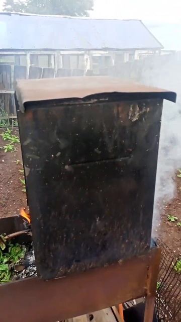 лещ горячего копчения смотреть онлайн