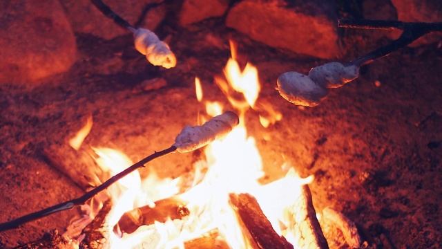 Paleolithic Times - 5 Things You Should Know - History for Kids смотреть онлайн