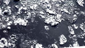 МАНА ЛЕДОХОД