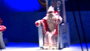 Цирк Деда Мороза 2014