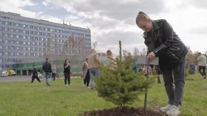 На территории больницы Святителя Луки Крымского заложили аллею, посвященную молодым врачам