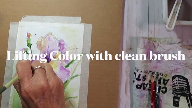 The Purple Iris смотреть онлайн