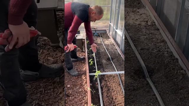 Капельный полив своими руками смотреть онлайн