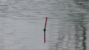 Только закинул поплавок и сразу потащило. Рыбалка весной на поплавок