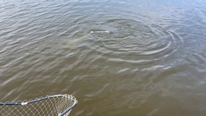 IMG_8804