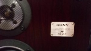 АКУСТИКА SONY SS AV5