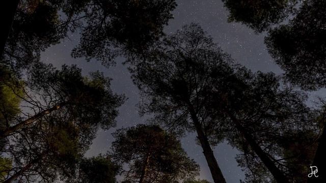 Wild camping with tarp in -4C смотреть онлайн