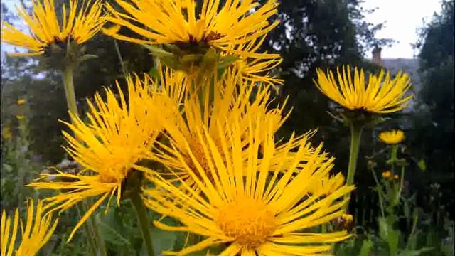 "Над Светом" смотреть онлайн