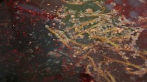 Говядина в ежевичном соусе