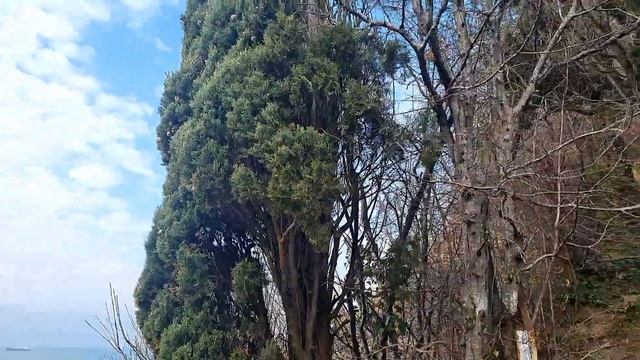 14 марта 2024 г. смотреть онлайн