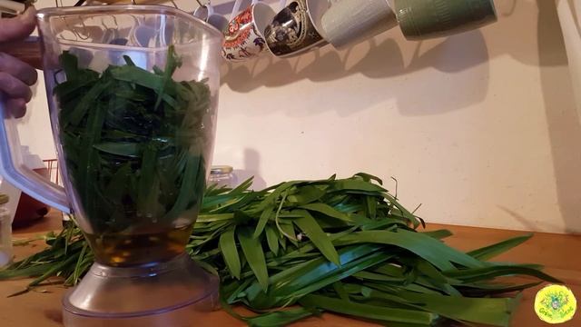 #7 Bärlauch / Wunderlauch / seltsamer Lauch sammeln und zubereiten zu Pesto und Brotaufstrich смотреть онлайн