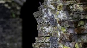 Sigma 70-200mm F2.8 EX DG Macro HSM II with Sigma 1.4x Extender review + samples