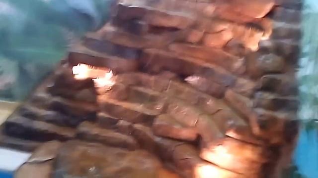 Фонтан домаск
