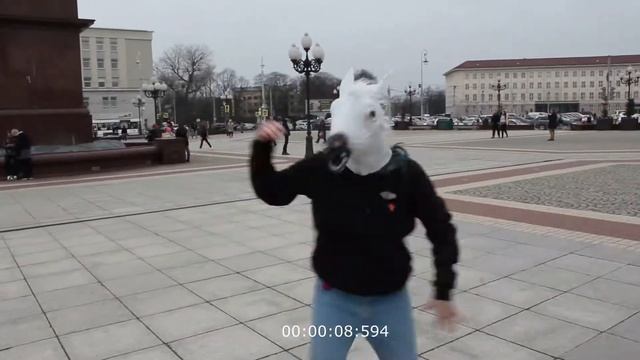 БЕЛАЯ ПОНИ