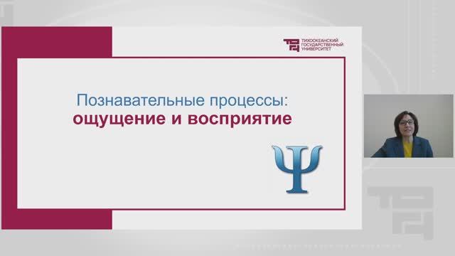 Познавательные процессы: ощущение и восприятие | Лектор - Сушко Наталья Геннадьевна смотреть онлайн