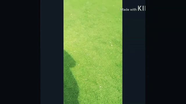 ГТО//Первое видео//Чисто для прикола//25.04.18⭐☀️💛 смотреть онлайн