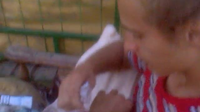 Лезгинка и рок-н-ролл смотреть онлайн