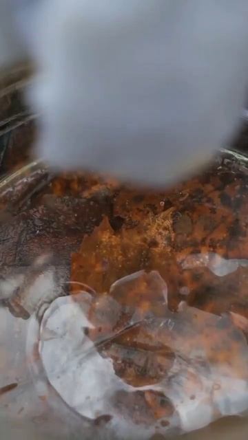 Free water filter only by using brain#bushcraft #youtubeshorts #ytviral #shorts смотреть онлайн