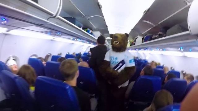 Копия медведи в городе смотреть онлайн