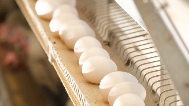 Ешьте это! Топ 5 самых бюджетных полезных продуĸтов чтобы прожить дольше