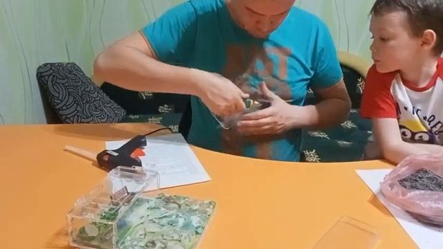 Муравьиная ферма Формикарий своими руками