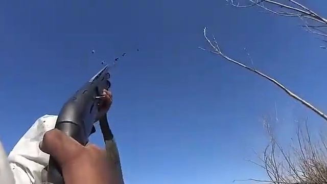 Красиво отстреляли!!!охота на гусей! смотреть онлайн