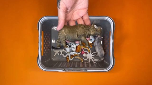 All NEW animal noises | Gorilla | Lion | Sea creatures | Wild animals | Farm animals смотреть онлайн