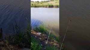 рыбалка с Максом река Кагальник