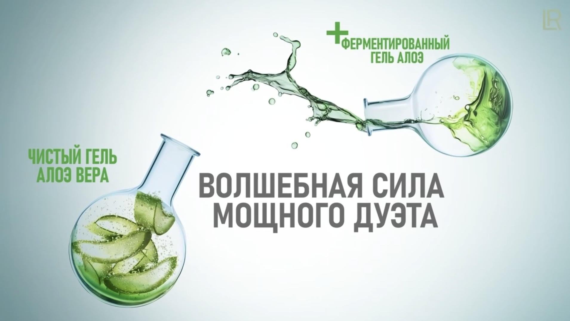 Волшебная сила мощного дуэта ✨ Алоэ ЛР