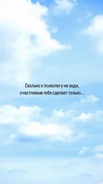 Щенки Мини Чау-Чау на сайте minichowchow.ru