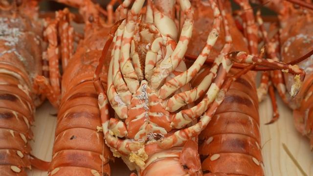 How To Steam Lobster & Cook Porridge - Enjoy With Daughter & Maya / Lý Thị Ca
