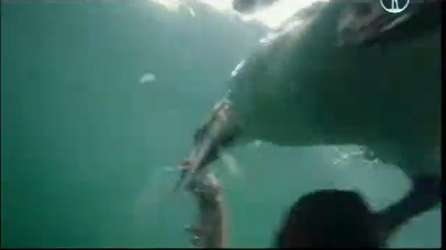 Игорь Чиж - РОЛИК СВЕД и МАСТ смотреть онлайн