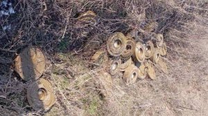 Росгвардия обнаружила схроны с боеприпасами ВСУ в Херсонской и Запорожской областях