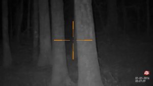 Прицел ночного видения с видеозаписью   ATN X SIGHT II HD 5 20X