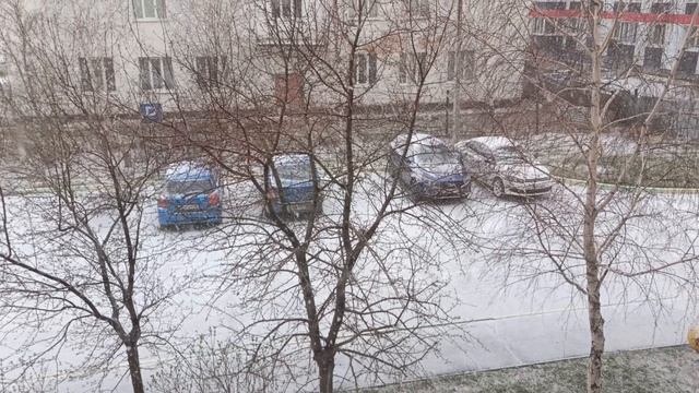 Чудеса природы в мой день рождения 🎉